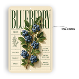 Blueberry Botanical Aluminum Sign – Fruit Kitchen & Garden Décor