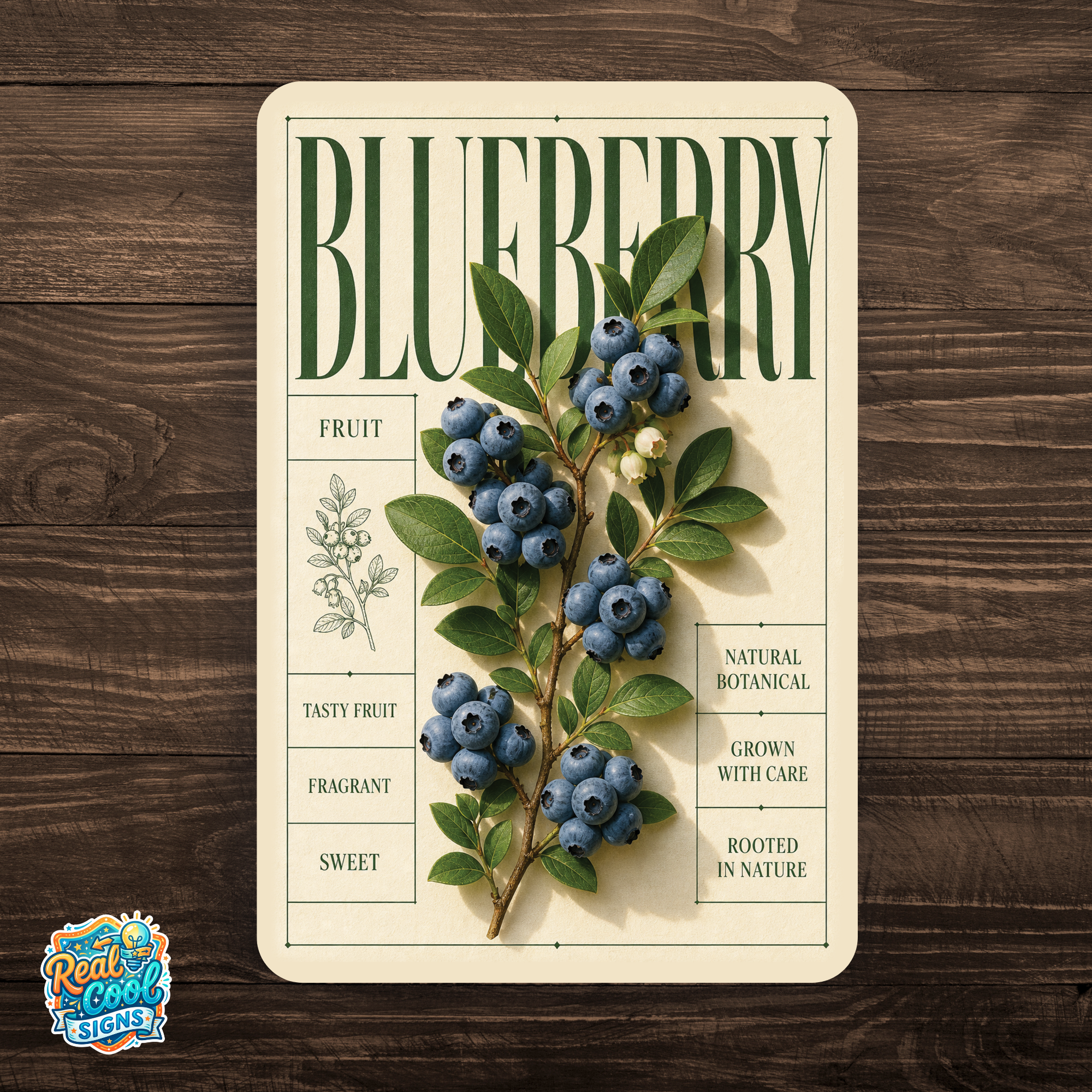 Blueberry Botanical Aluminum Sign – Fruit Kitchen & Garden Décor