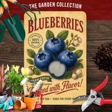 Vintage Blueberries Farm Fresh Aluminum Sign