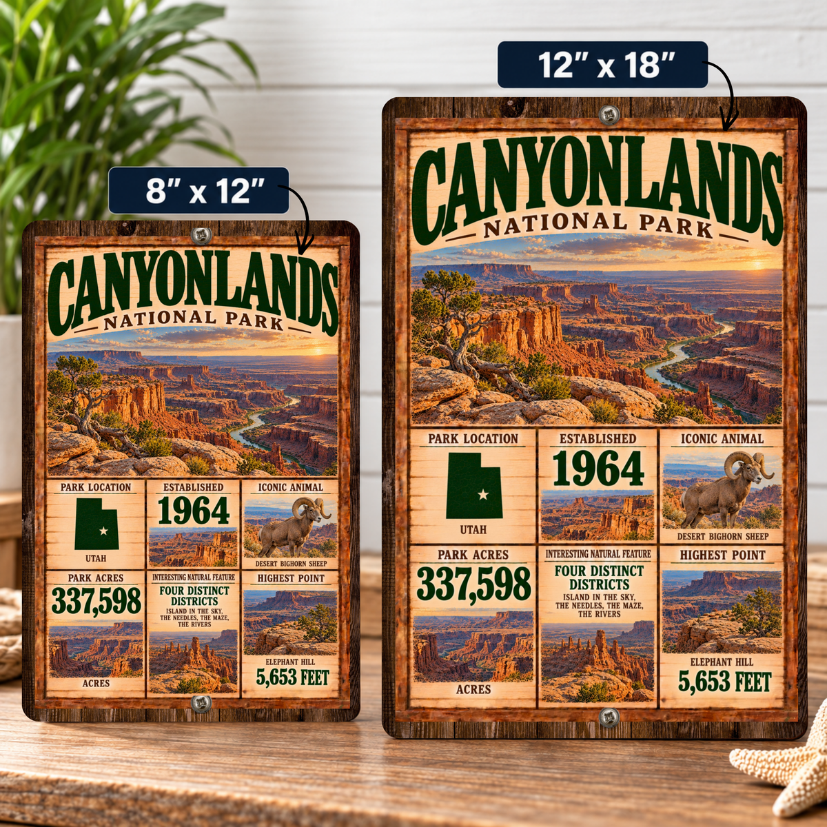 Canyonlands National Park facts sign shown in 8 by 12 and 12 by 18 inch sizes
