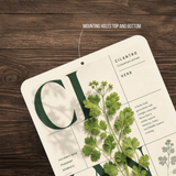 Cilantro Botanical Aluminum Sign – Herb Kitchen & Garden Décor