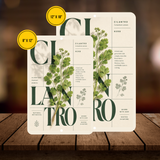 Cilantro Botanical Aluminum Sign – Herb Kitchen & Garden Décor