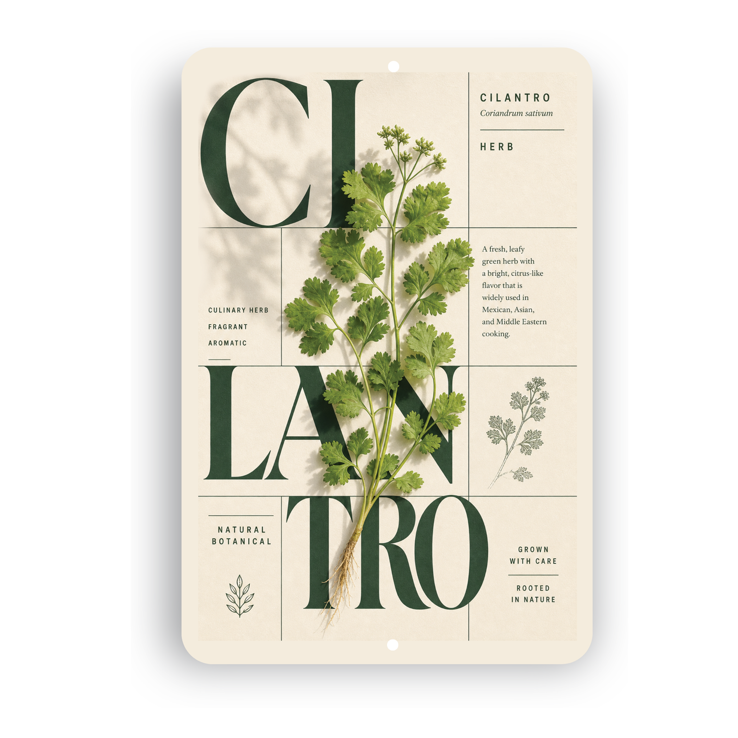 Cilantro Botanical Aluminum Sign – Herb Kitchen & Garden Décor