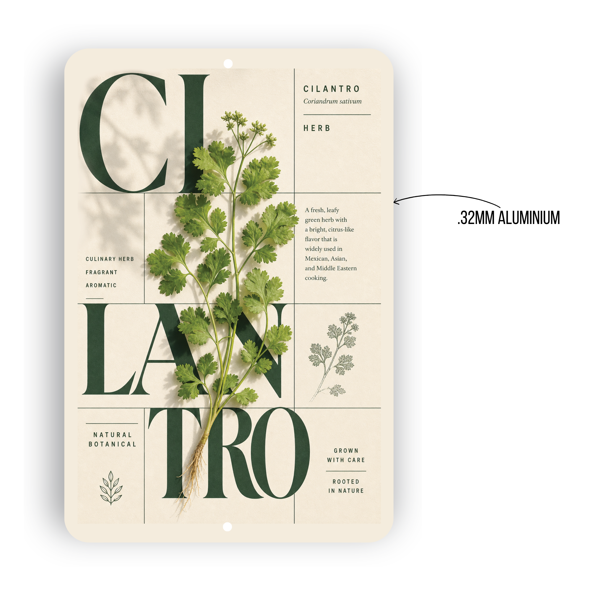 Cilantro Botanical Aluminum Sign – Herb Kitchen & Garden Décor