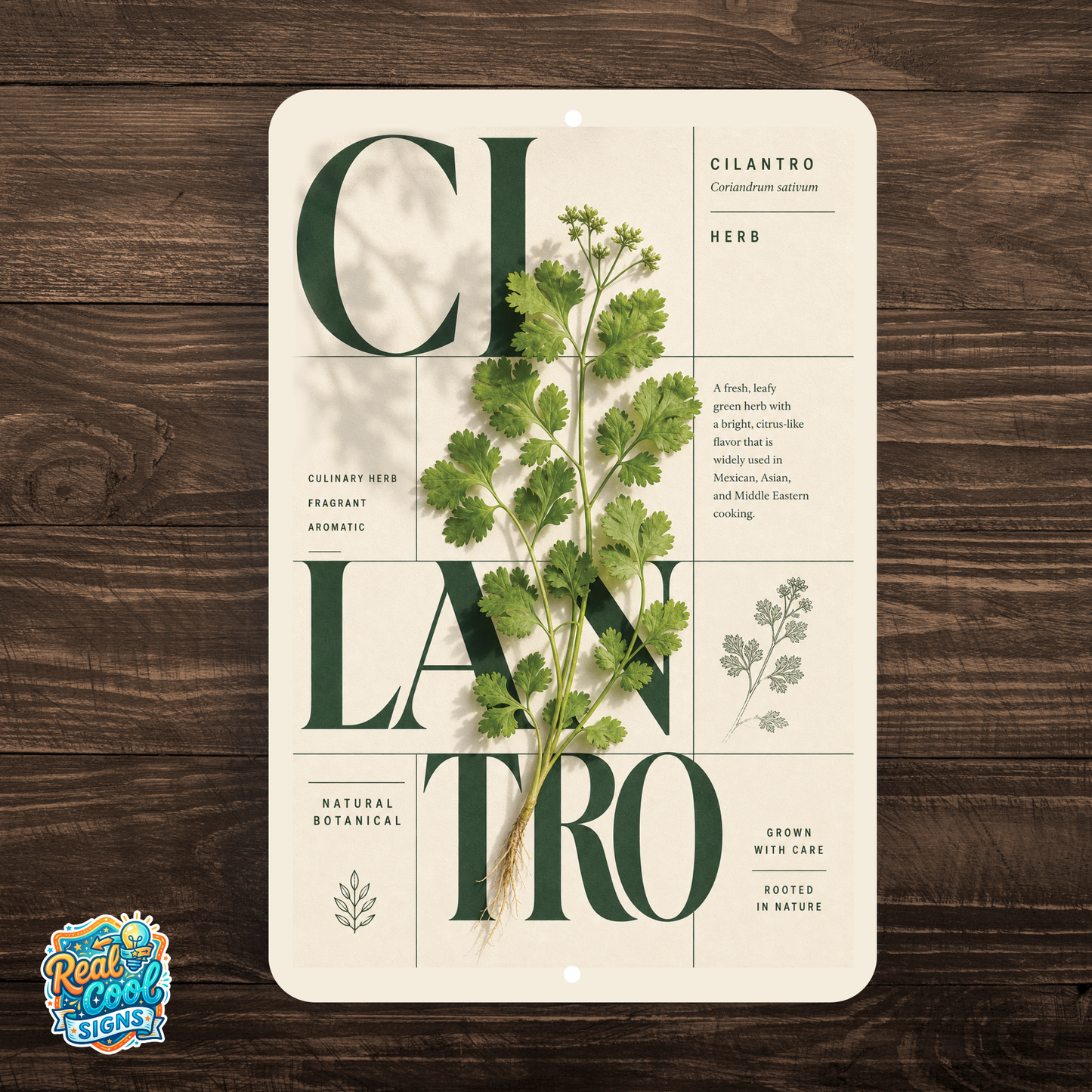 Cilantro Botanical Aluminum Sign – Herb Kitchen & Garden Décor