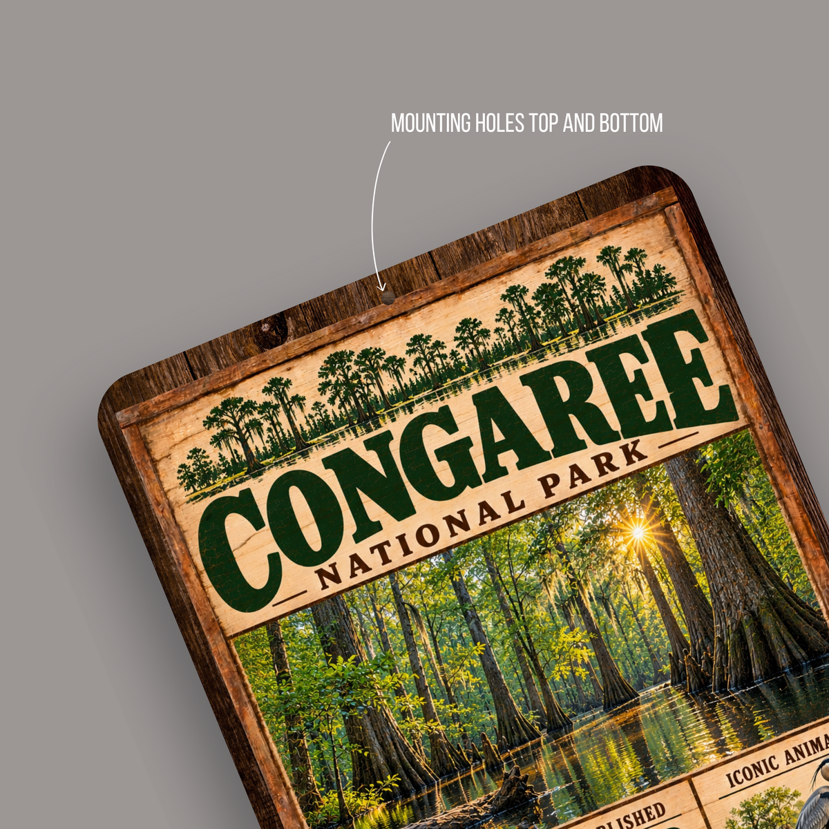 Congaree National Park aluminum sign showing rounded corners and mounting holes