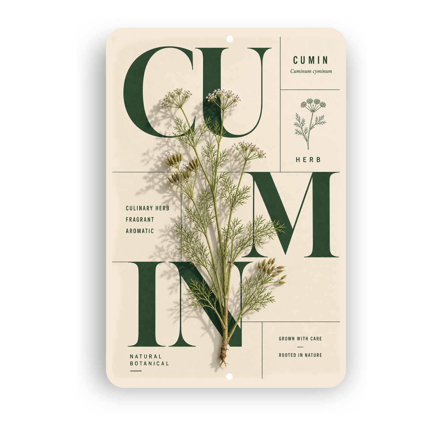 Cumin Botanical Aluminum Sign – Herb Kitchen & Garden Décor
