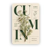 Cumin Botanical Aluminum Sign – Herb Kitchen & Garden Décor