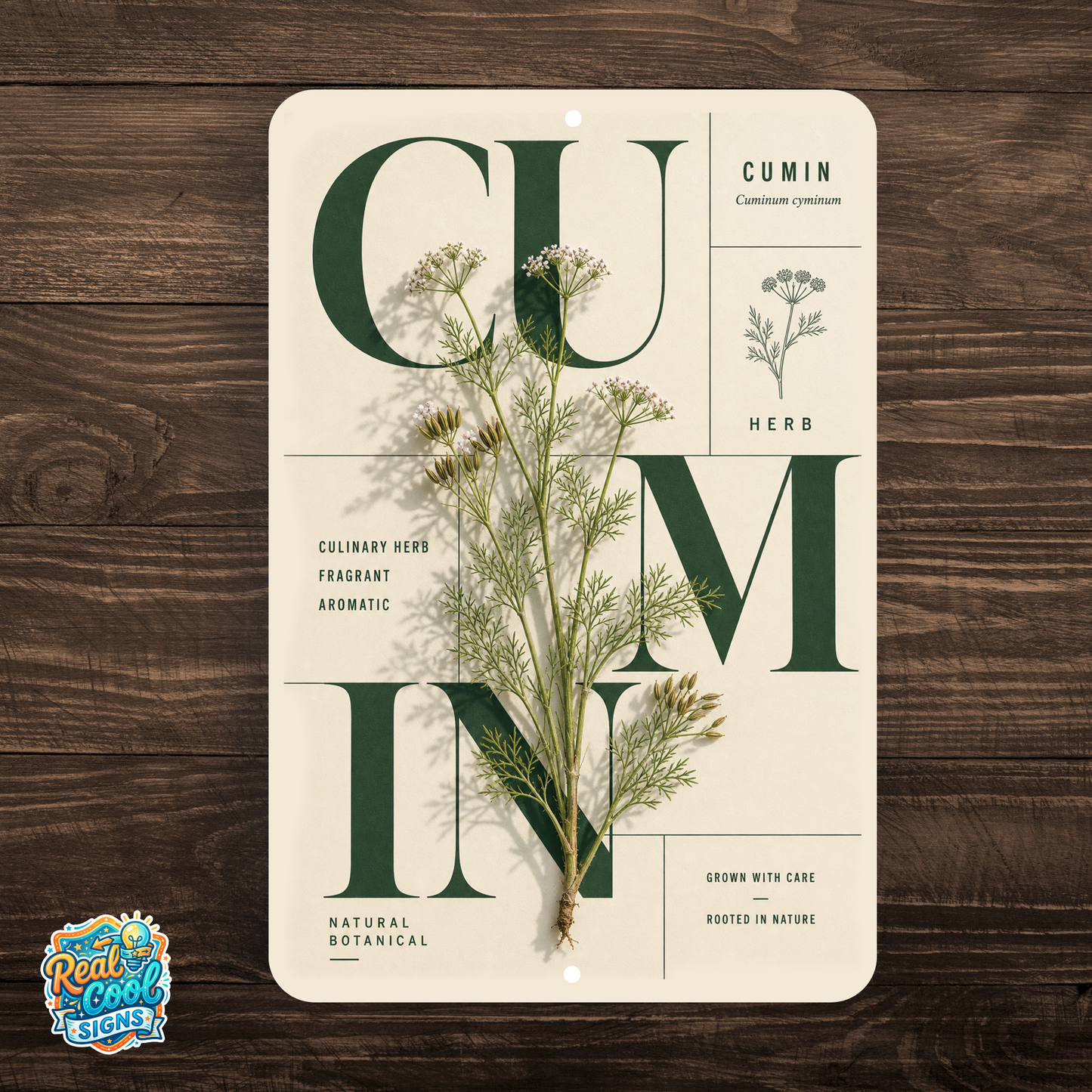 Cumin Botanical Aluminum Sign – Herb Kitchen & Garden Décor