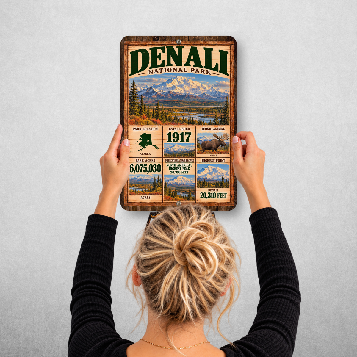Denali National Park facts sign hanging on a wall