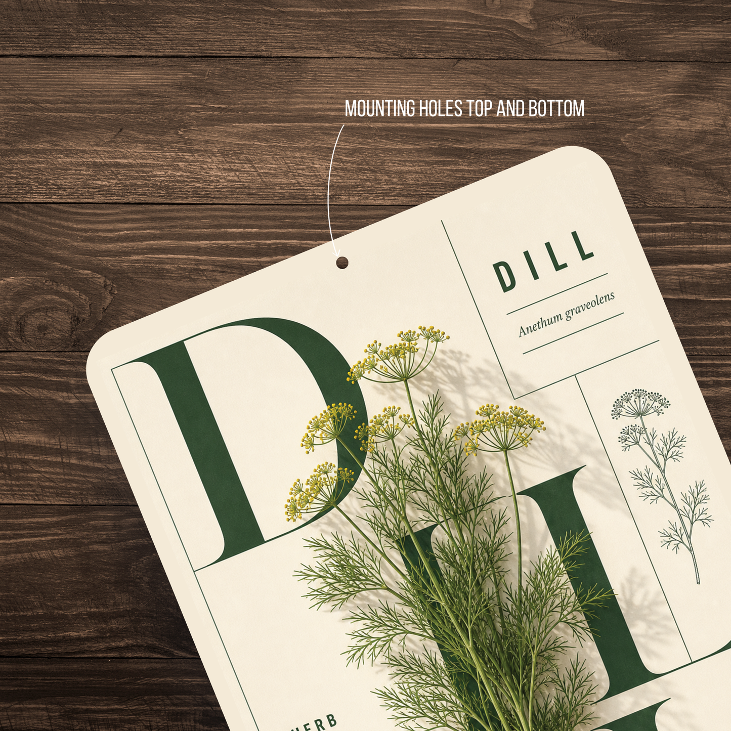 Dill Botanical Aluminum Sign – Herb Kitchen & Garden Décor