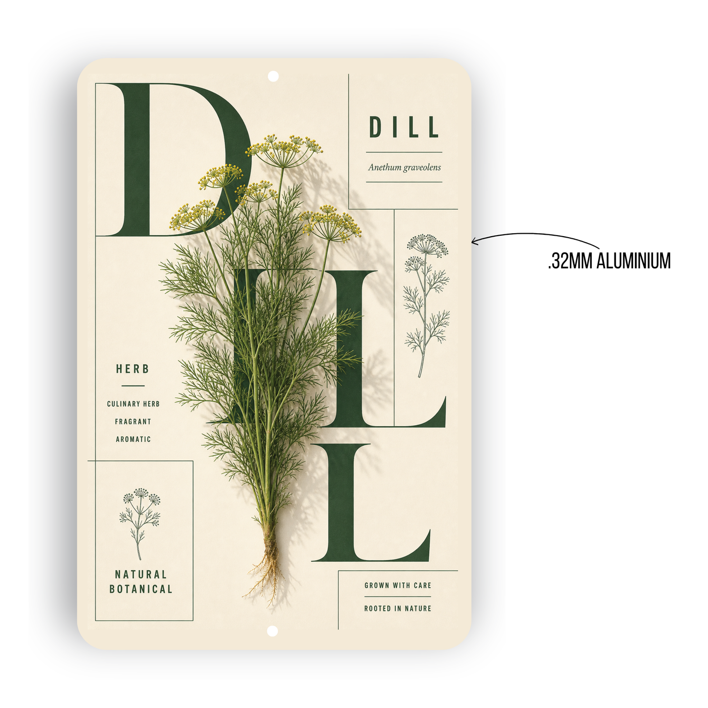 Dill Botanical Aluminum Sign – Herb Kitchen & Garden Décor