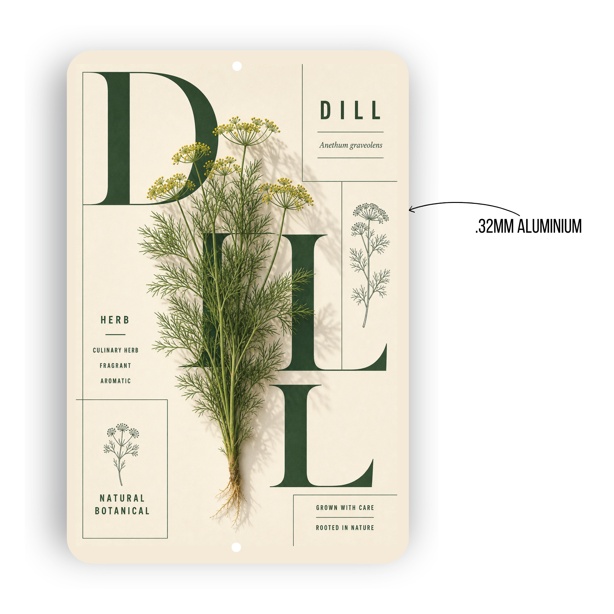 Dill Botanical Aluminum Sign – Herb Kitchen & Garden Décor