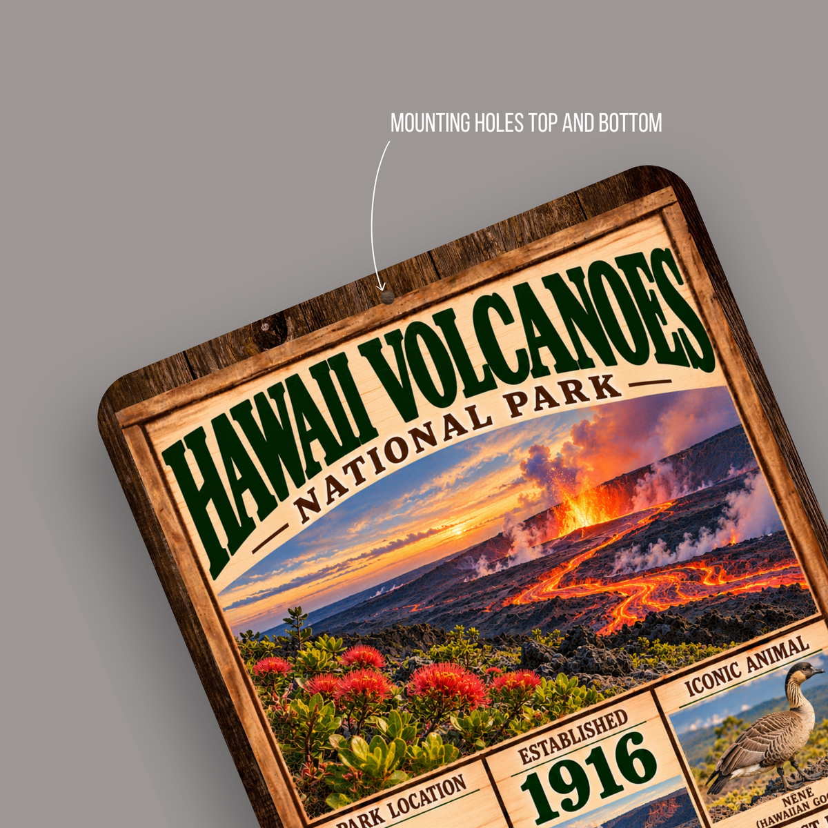 Hawaii Volcanoes National Park aluminum sign showing rounded corners and mounting holes