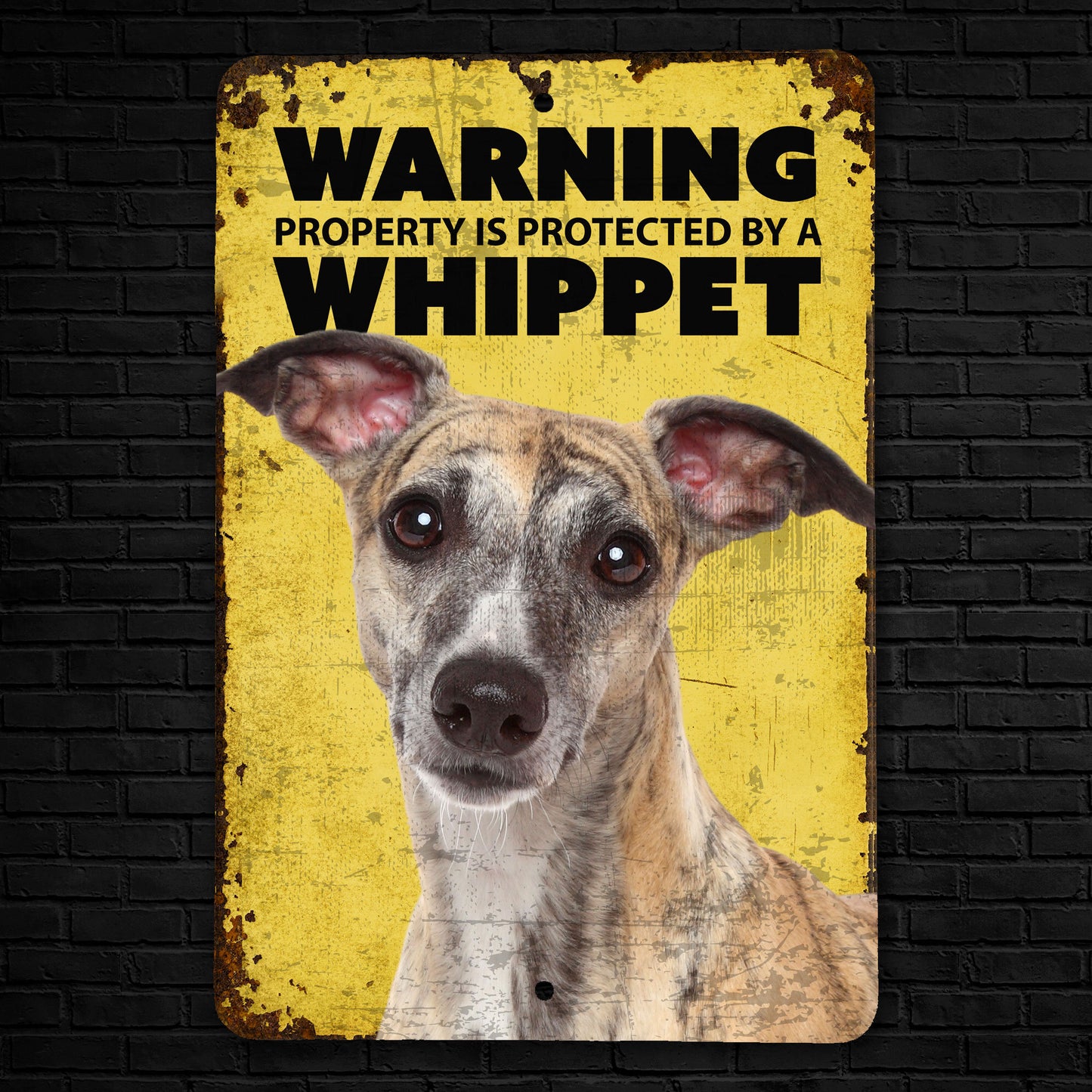 Whippet Signs