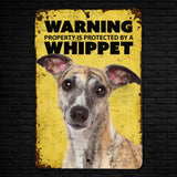 Whippet Signs