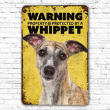 Beware Of Whippet Sign