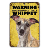 Pet Whippet Sign