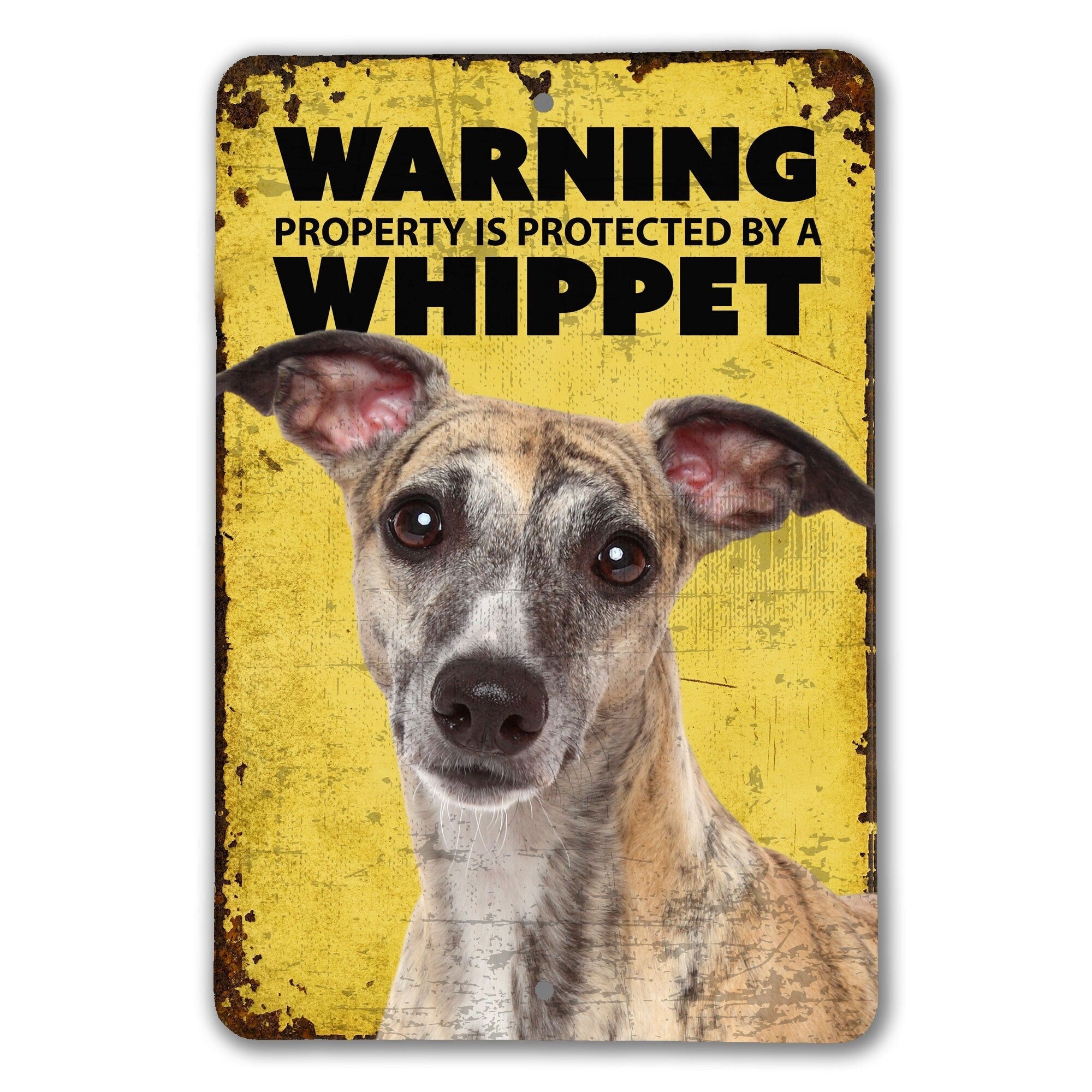 Pet Whippet Sign