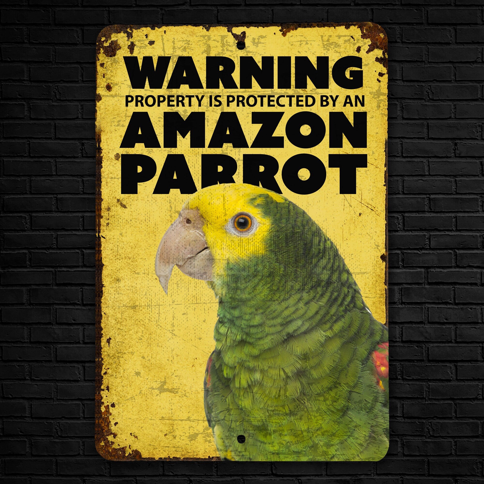 Amazon Parrot Warning Sign