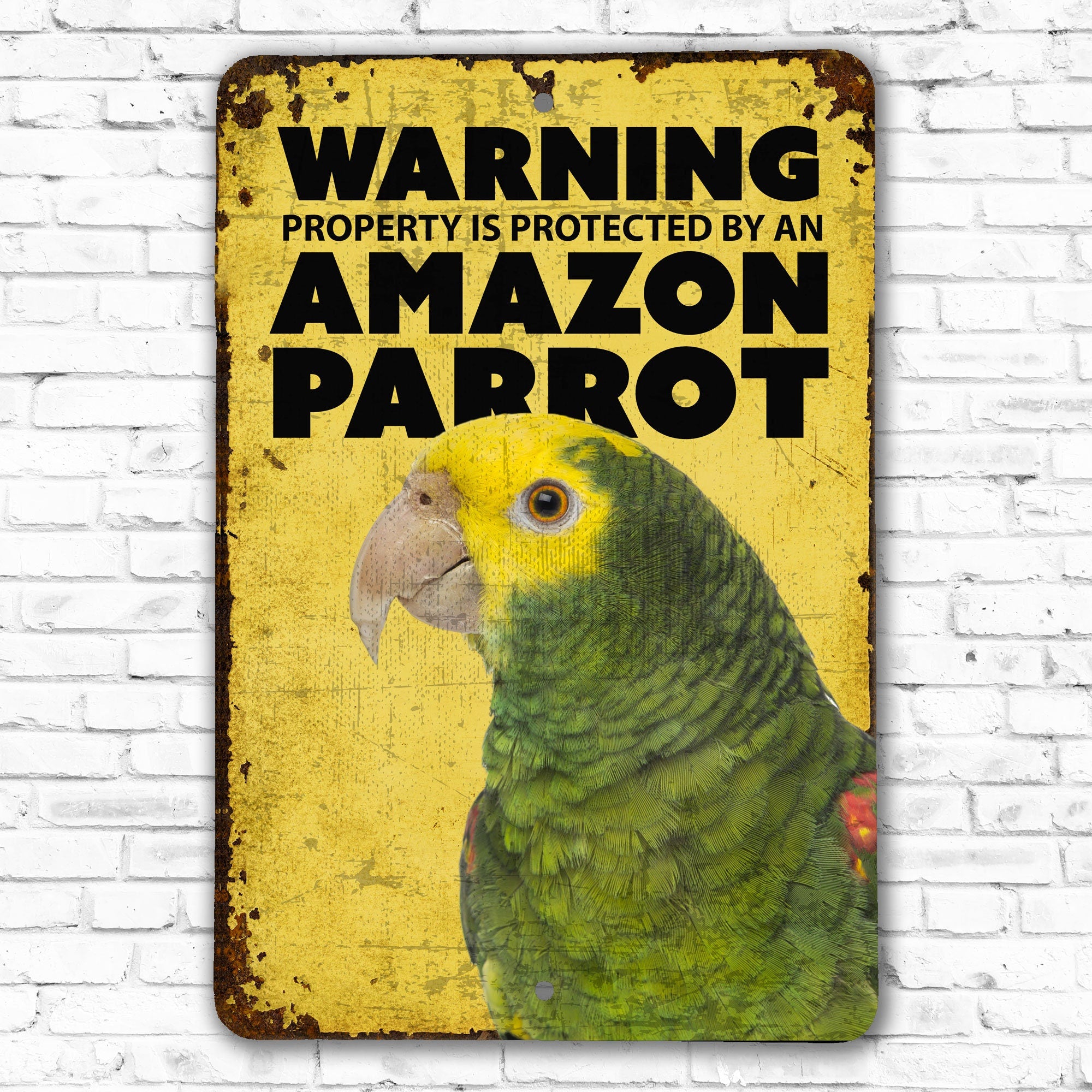 Amazon Parrot Metal Sign