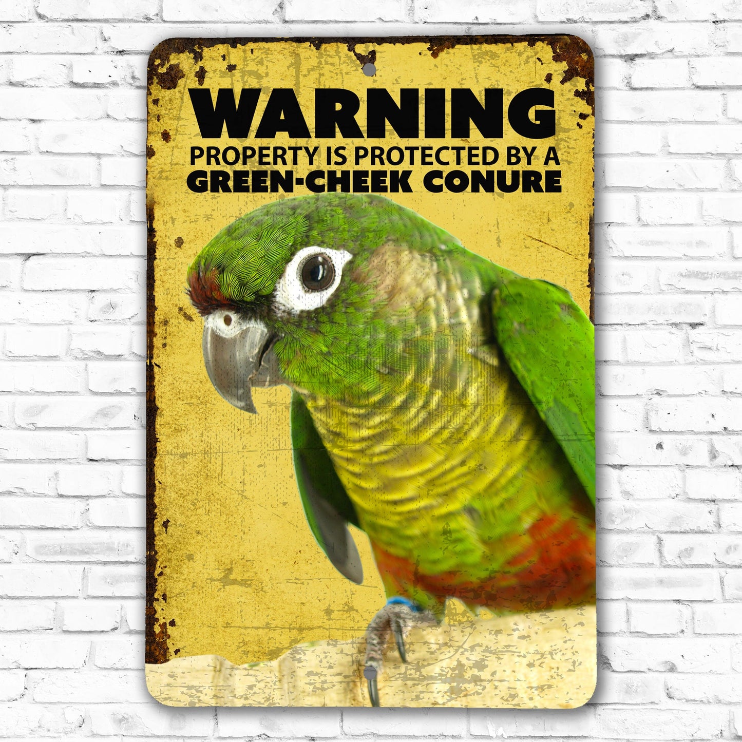 Green Cheek Conure Warning Sign