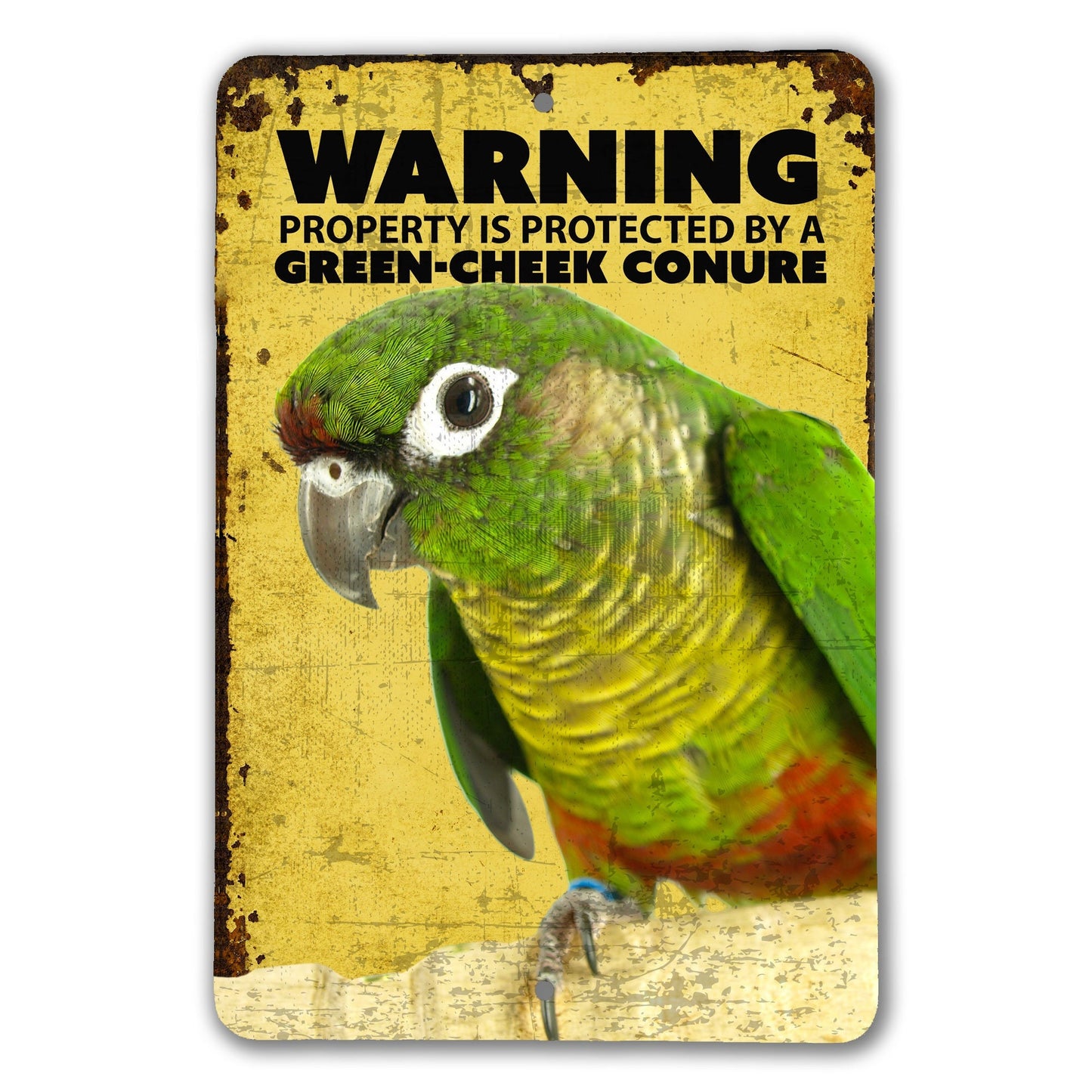 Green Cheek Conure Gifts