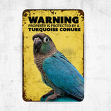 Turquoise Conure Metal Sign