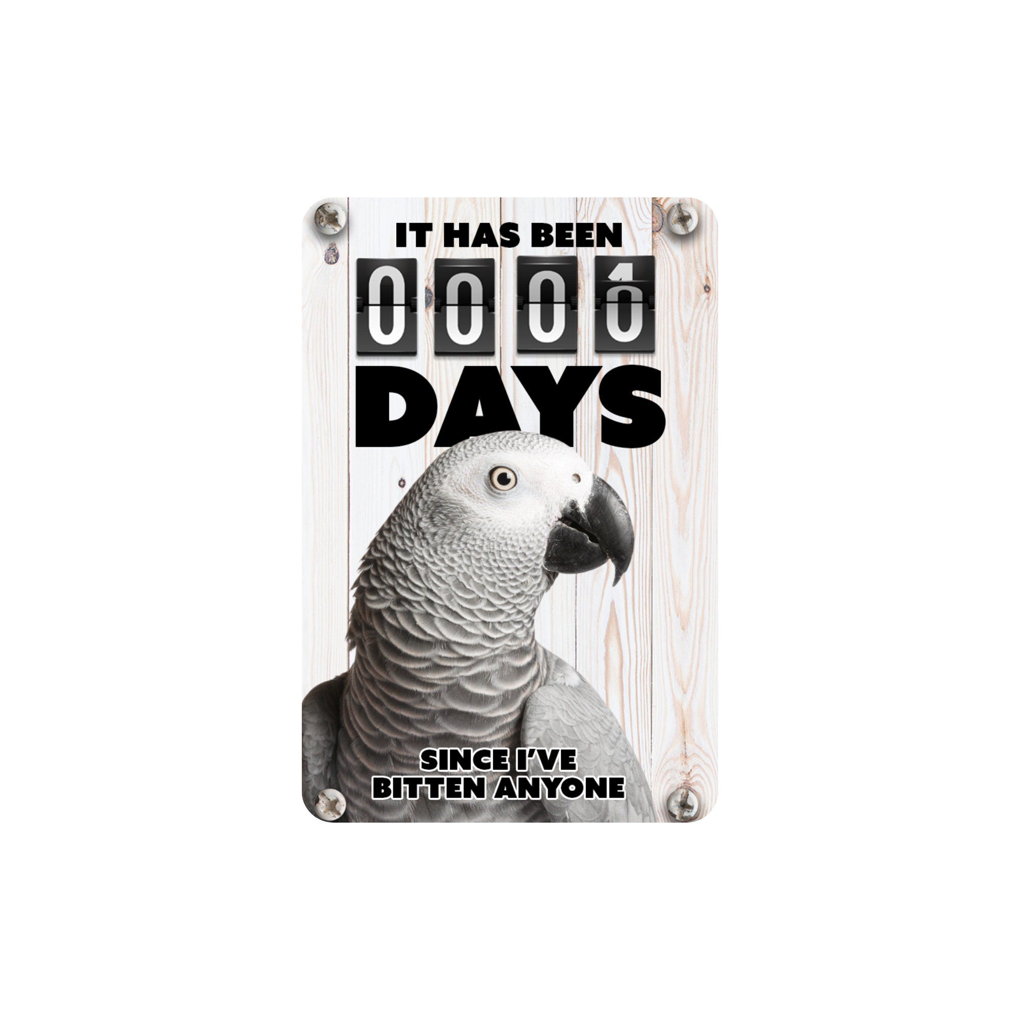 Handcrafted Bird Fridge Magnet