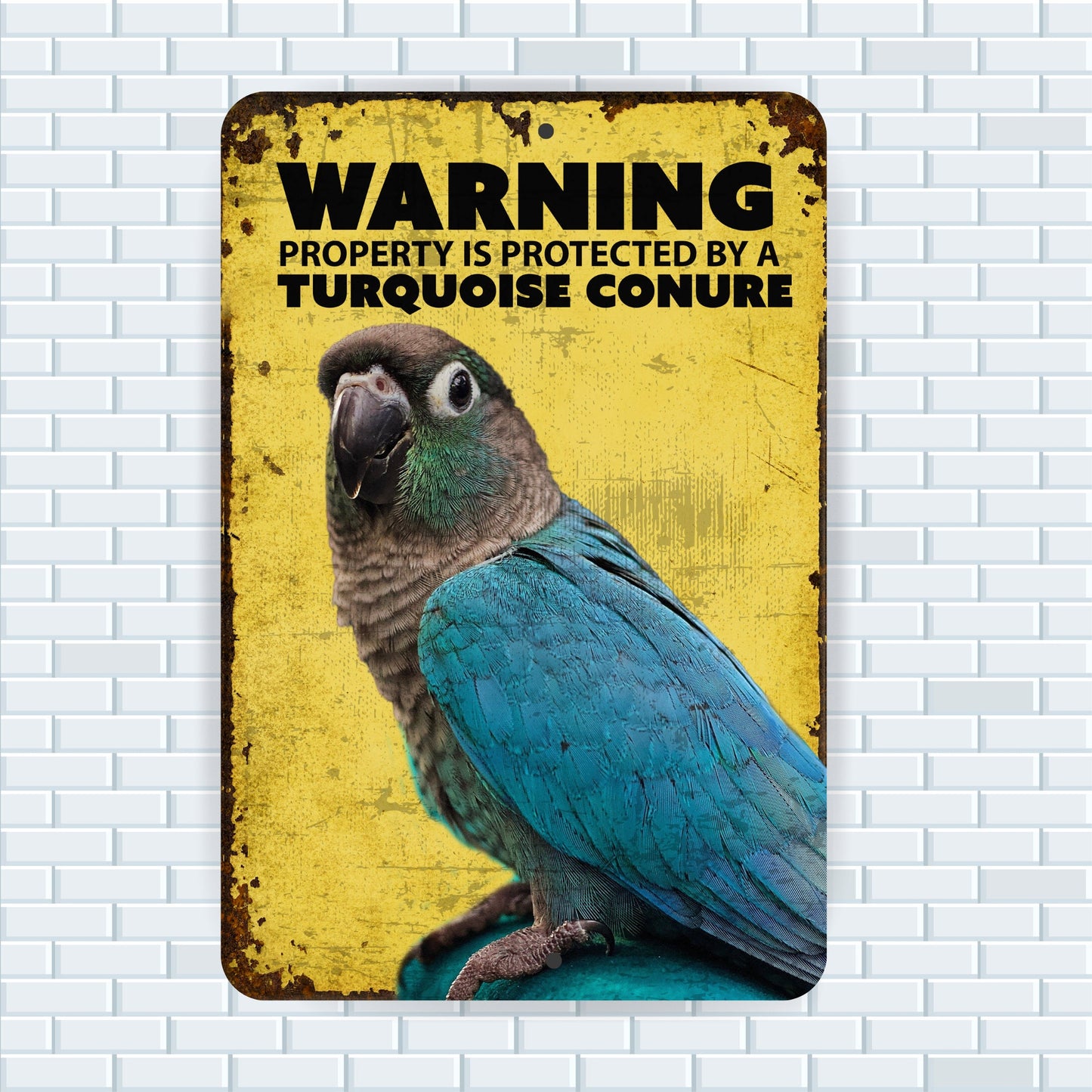 Turquoise Conure Distressed Sign