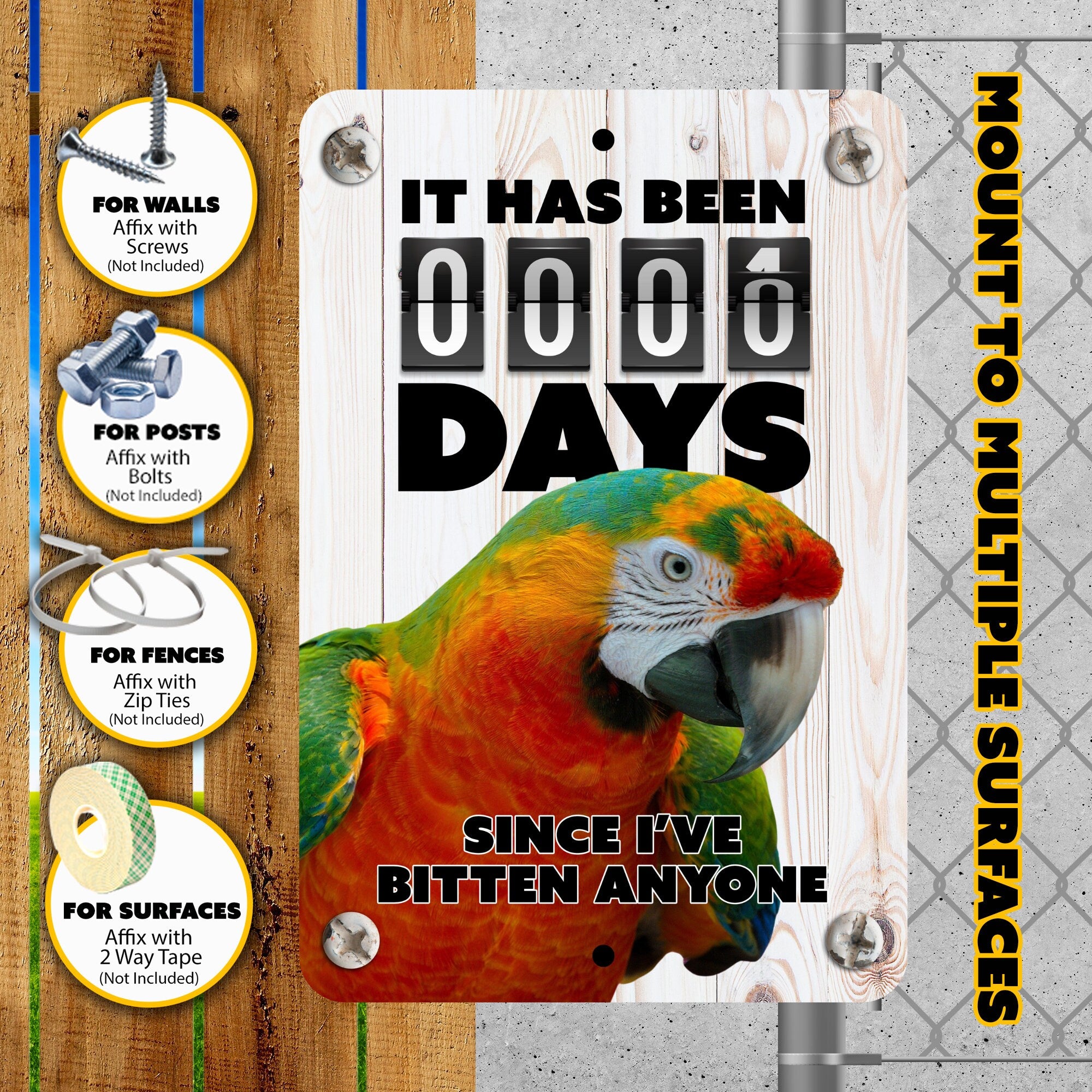 Scarlet Macaw