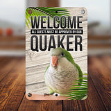 Green Quaker Parrot