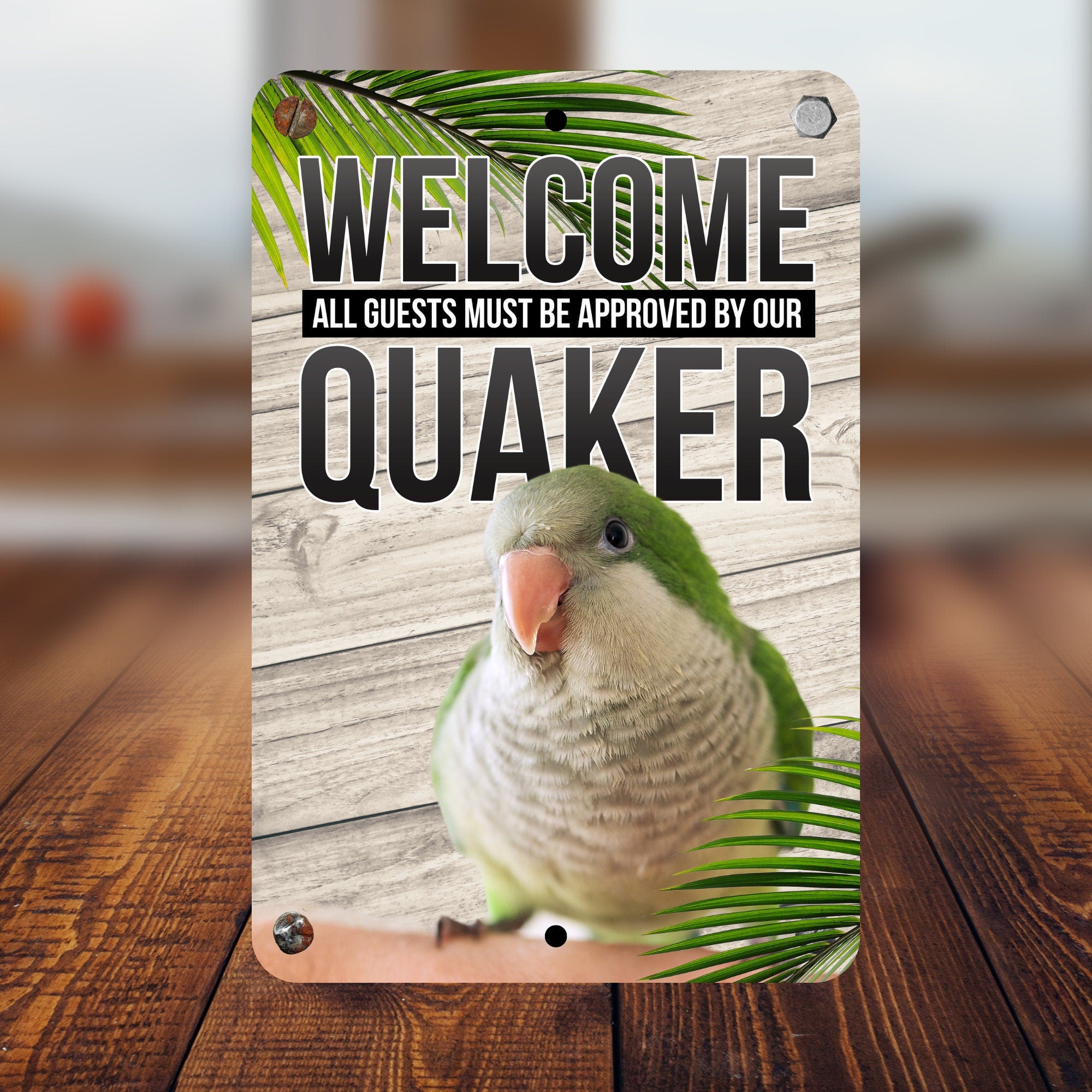 Green Quaker Parrot