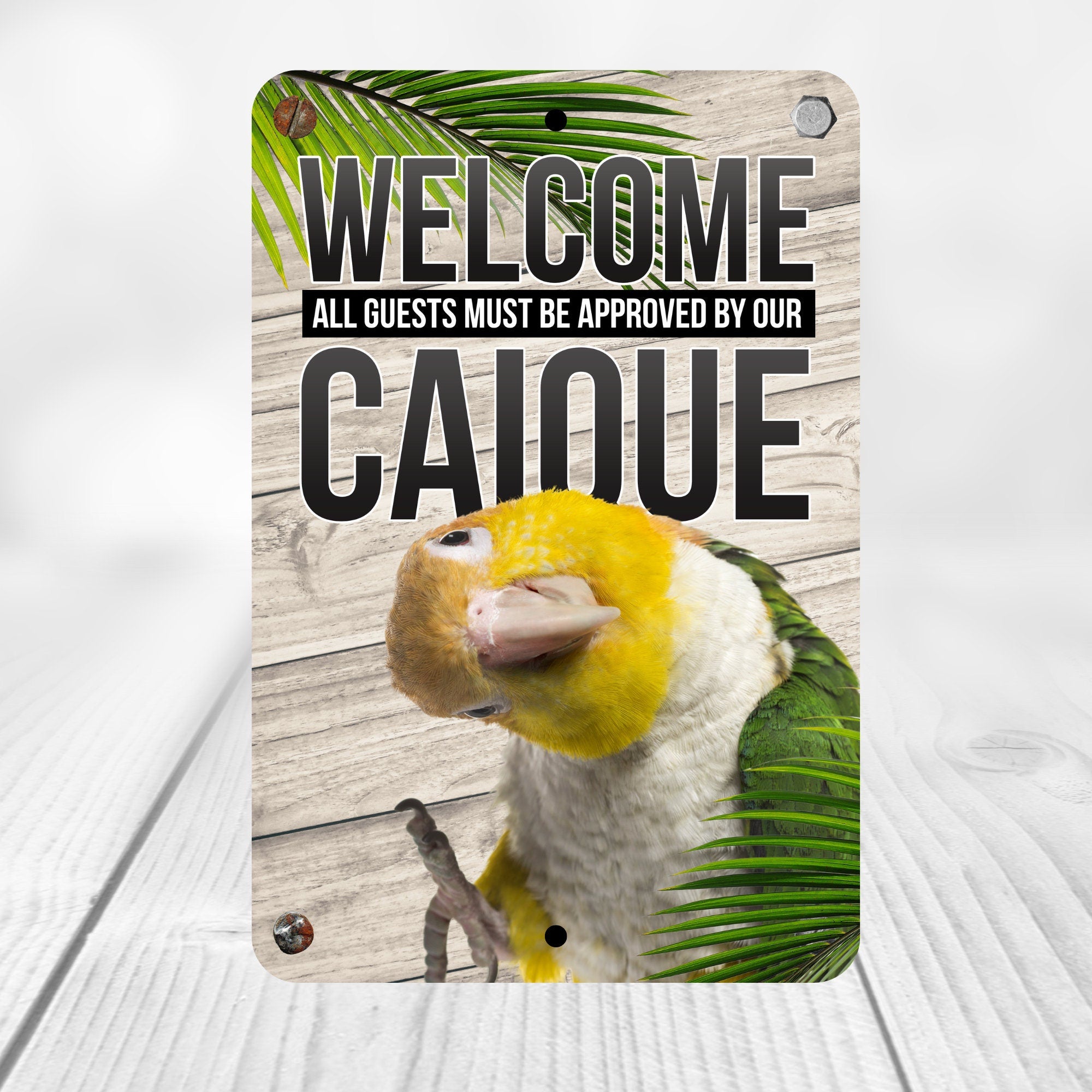 White Belly Caique