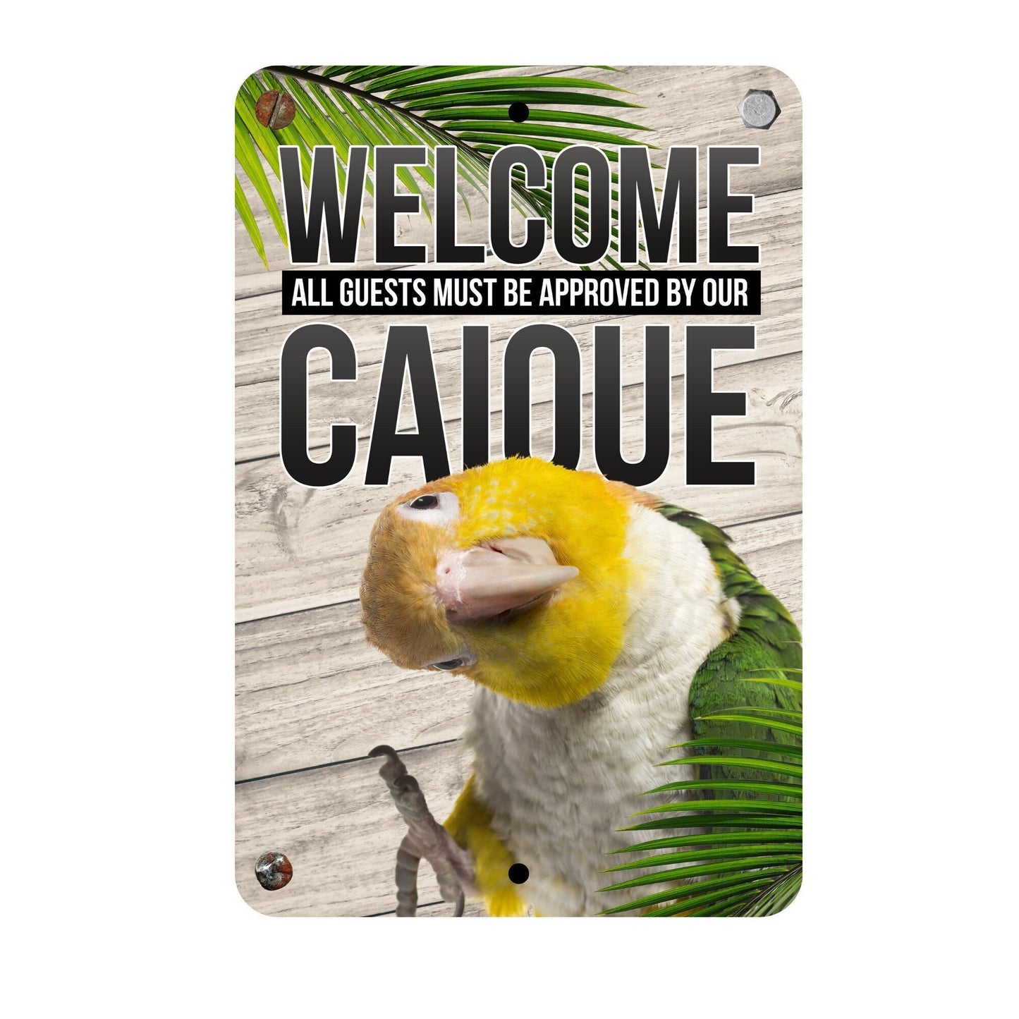 White Belly Caique Sign