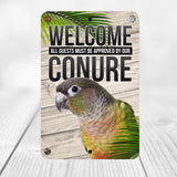 Green Cheek Conure