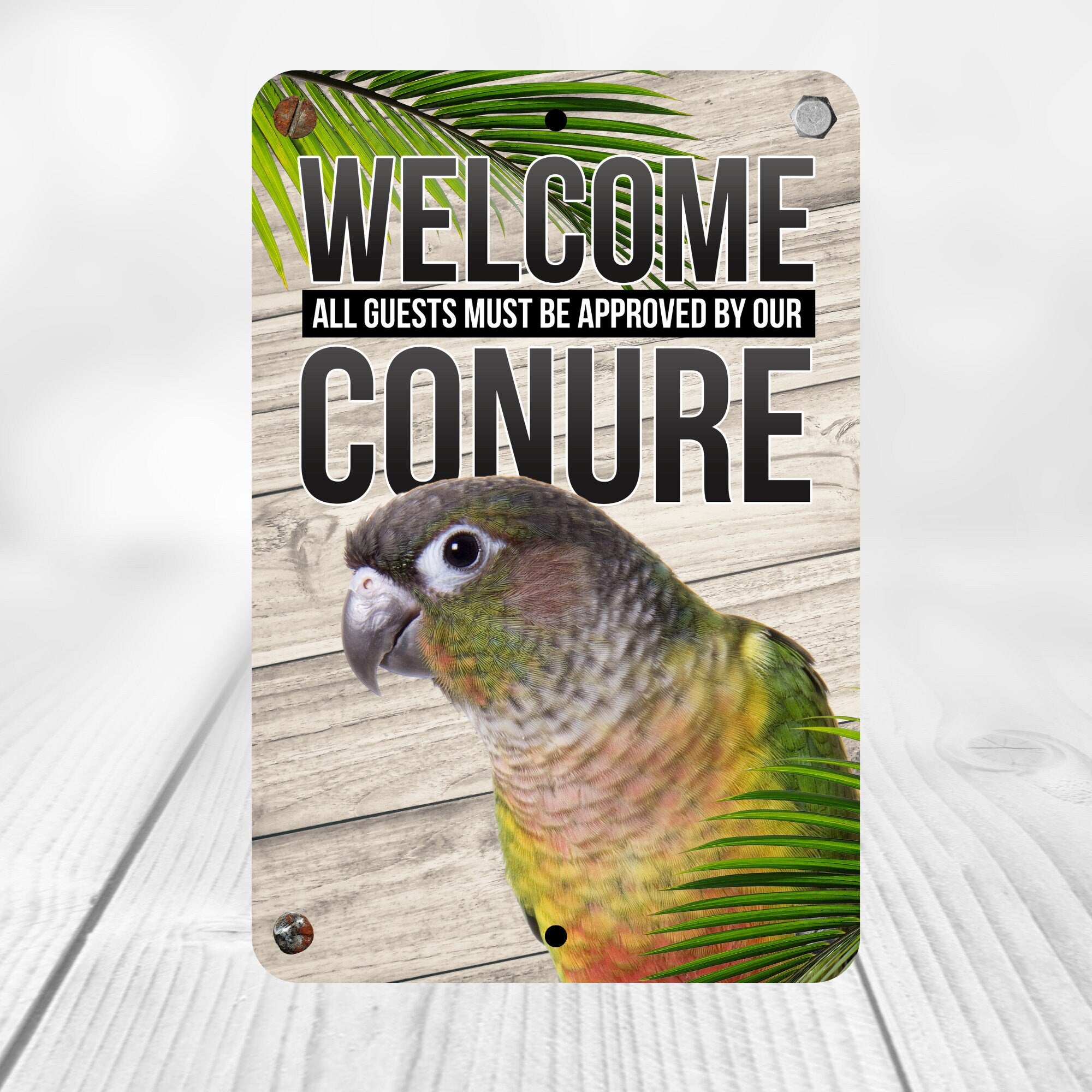 Green Cheek Conure
