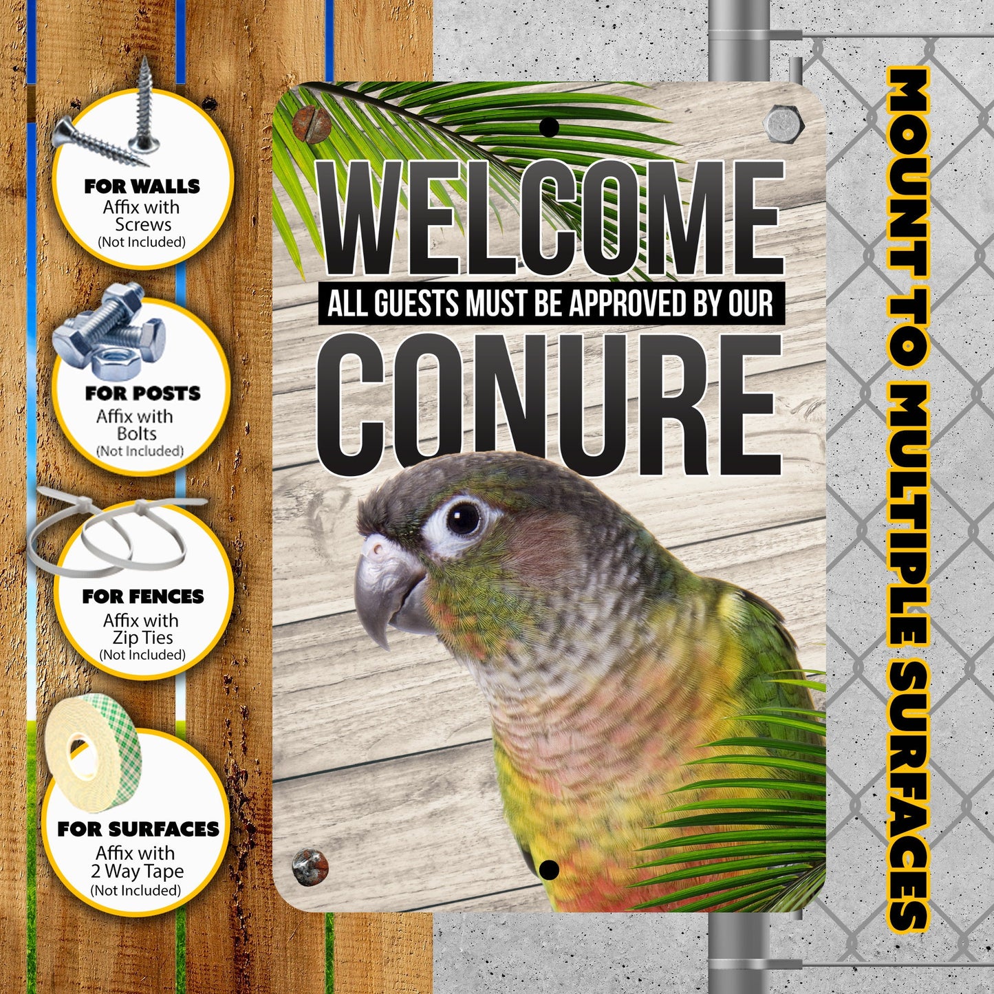 Green Cheek Conure Parrot Gifts