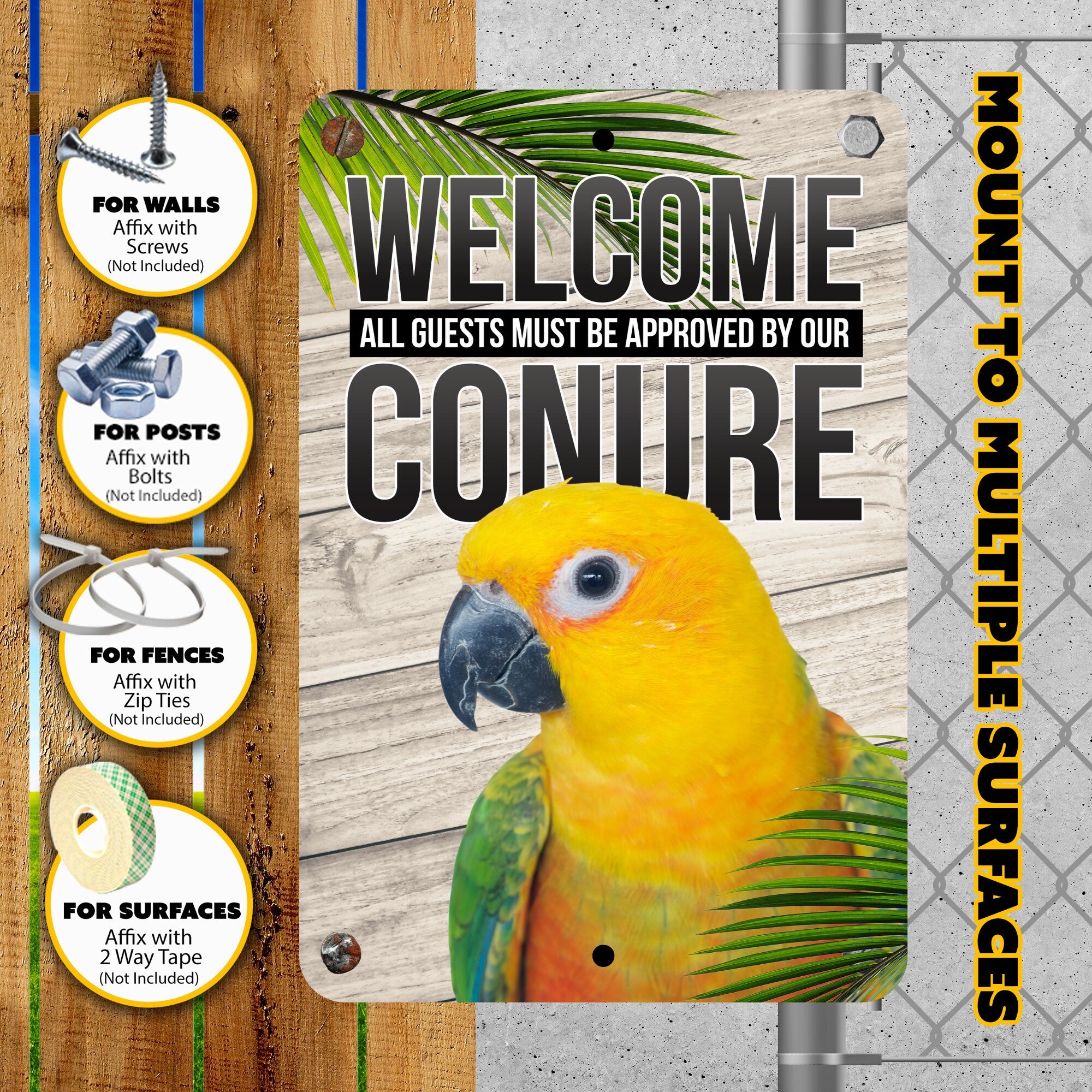 Jenday Conure
