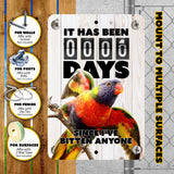 Rainbow Lorikeet