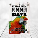 Scarlet Macaw Gift