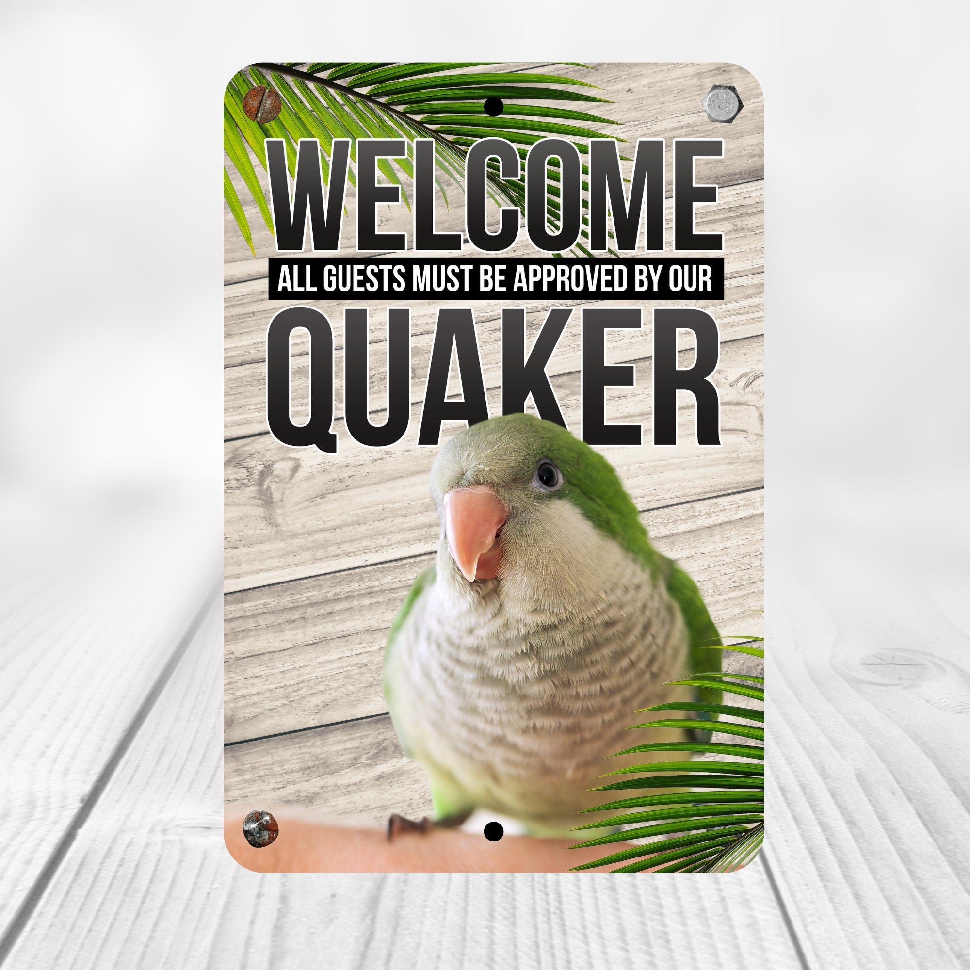 Green Quaker Parrot