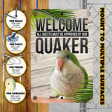 Green Quaker Parrot