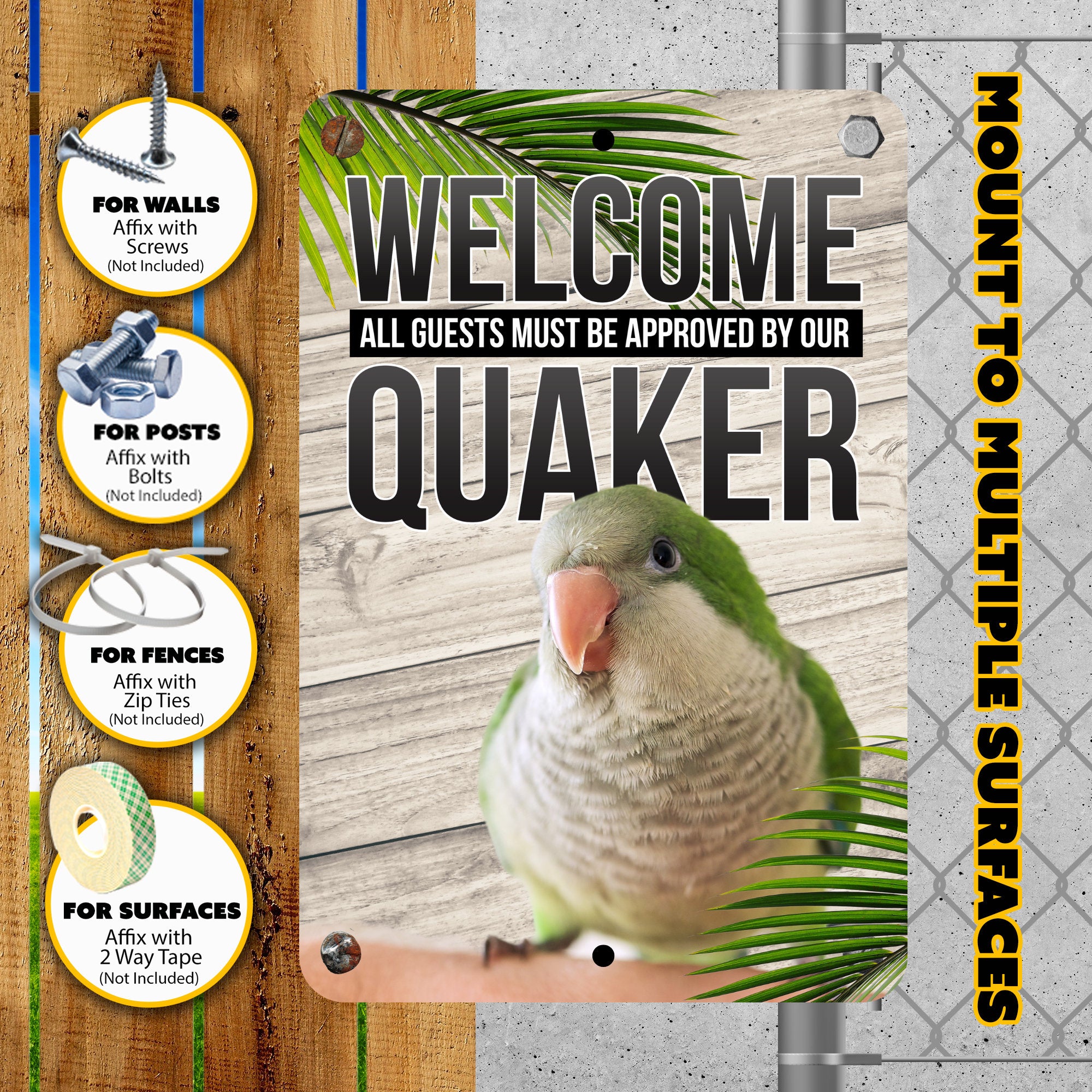 Green Quaker Parrot