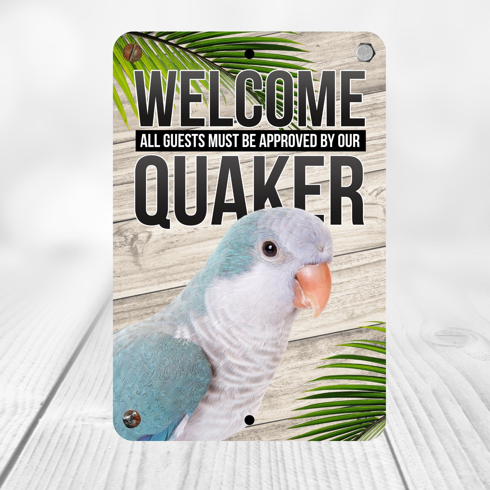 Blue Quaker Parrot