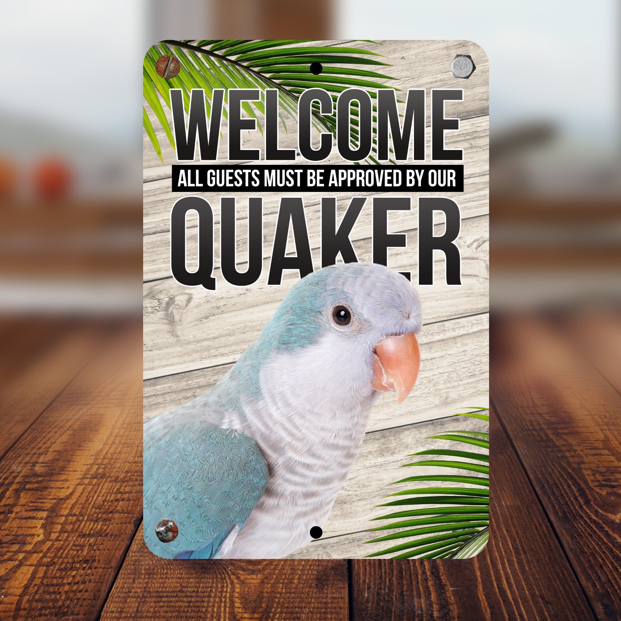 Blue Quaker Parrot