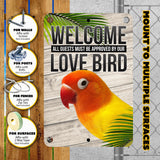 Love Bird