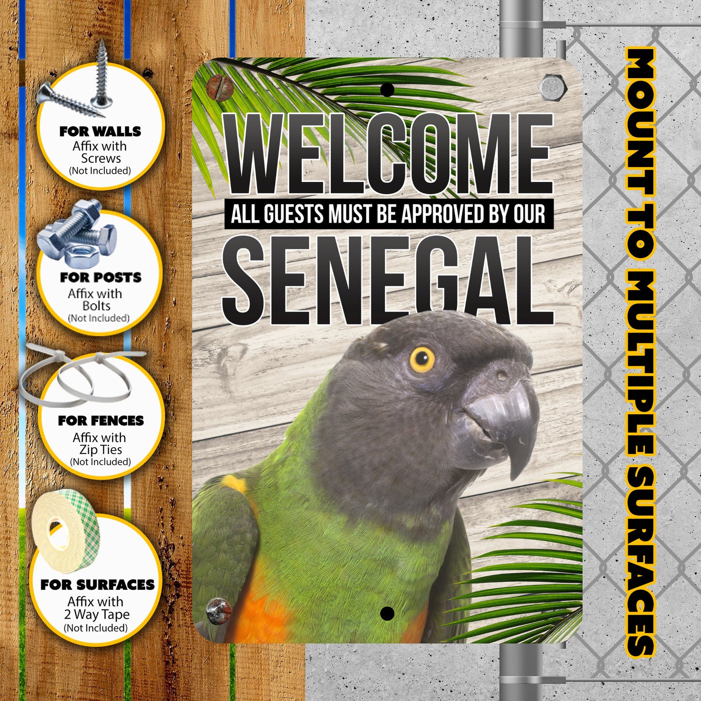 Senegal Parrot Sign