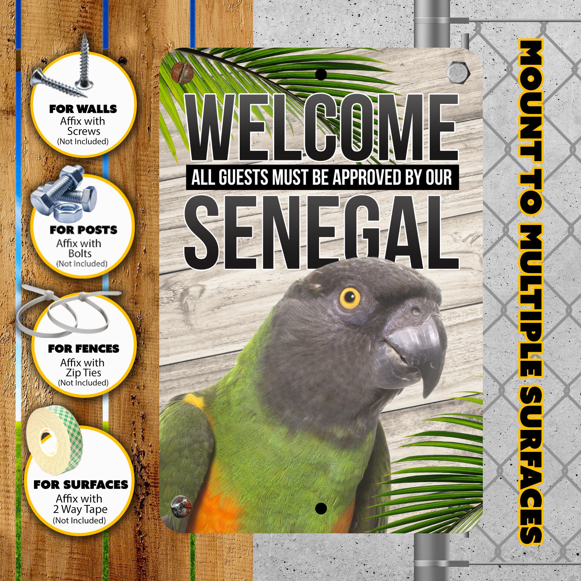 Senegal Parrot Sign