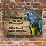 Personalized Pionus Parrot Sign